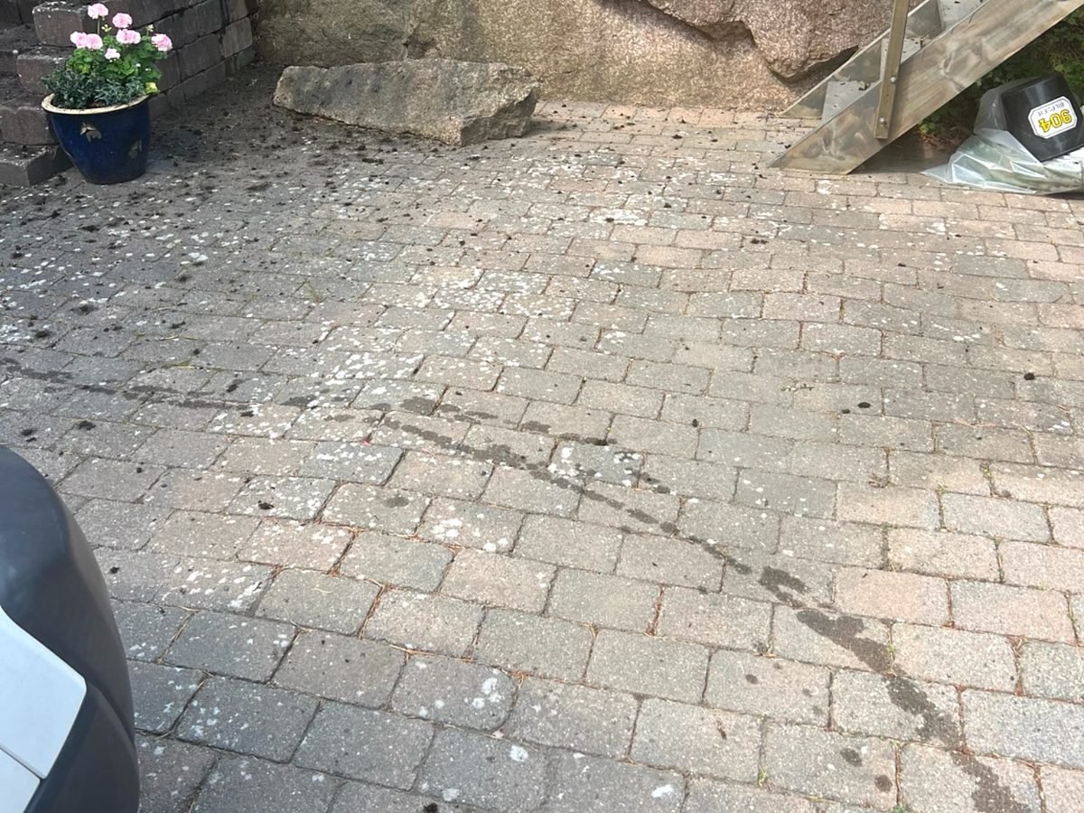 Belegningsstein med grønske og flekker før vask